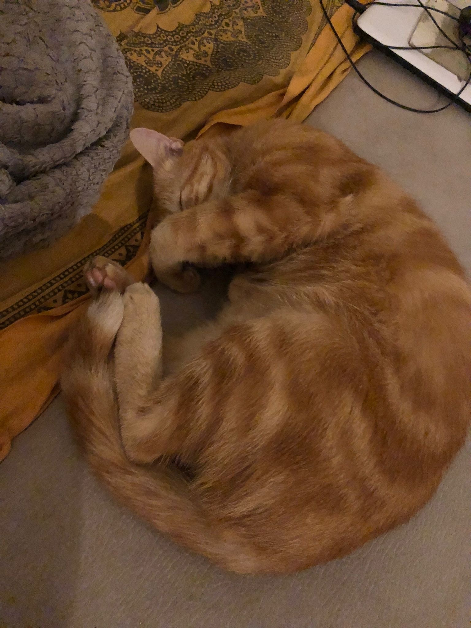 Serges - Cerfontaine - Namur | Rencontre Discrète