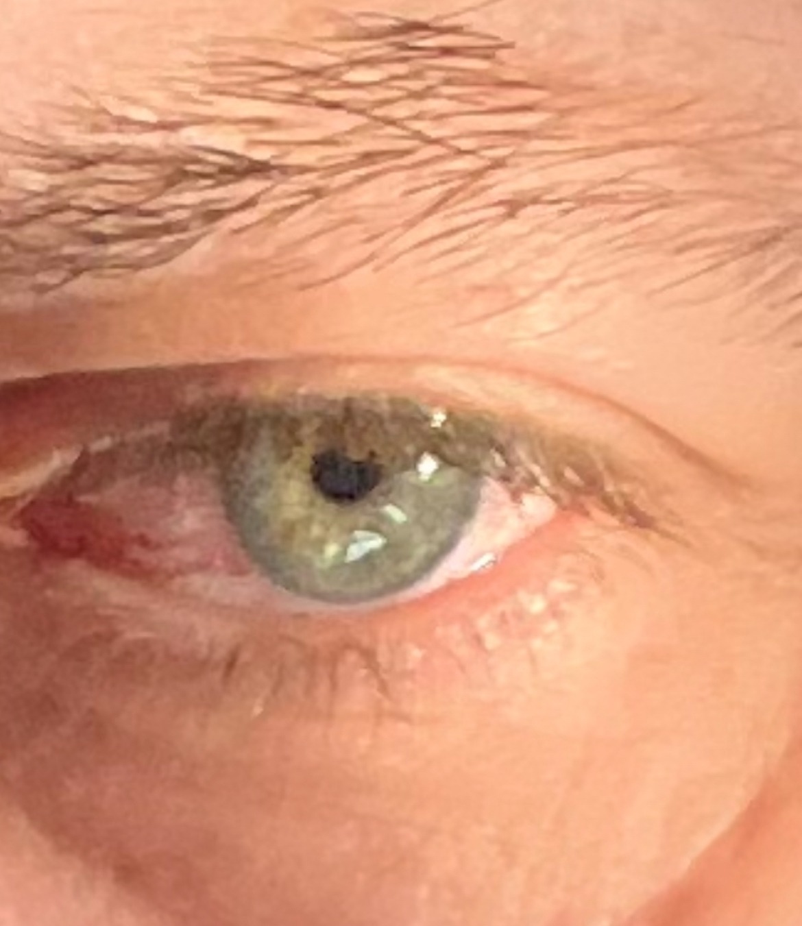 Asdine - Hamoir - Liège | Rencontre Discrète